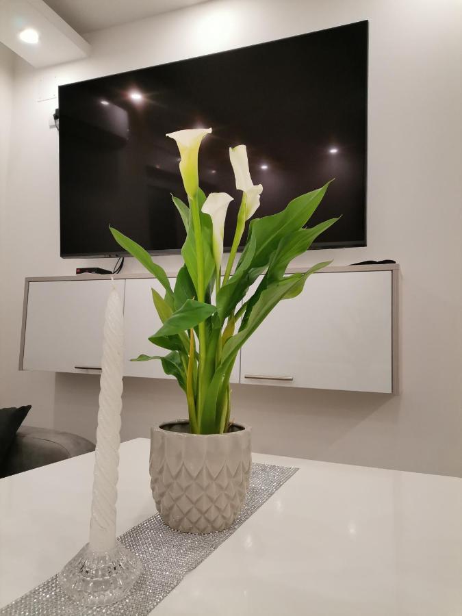 City Break Apartment بانيا لوكا المظهر الخارجي الصورة